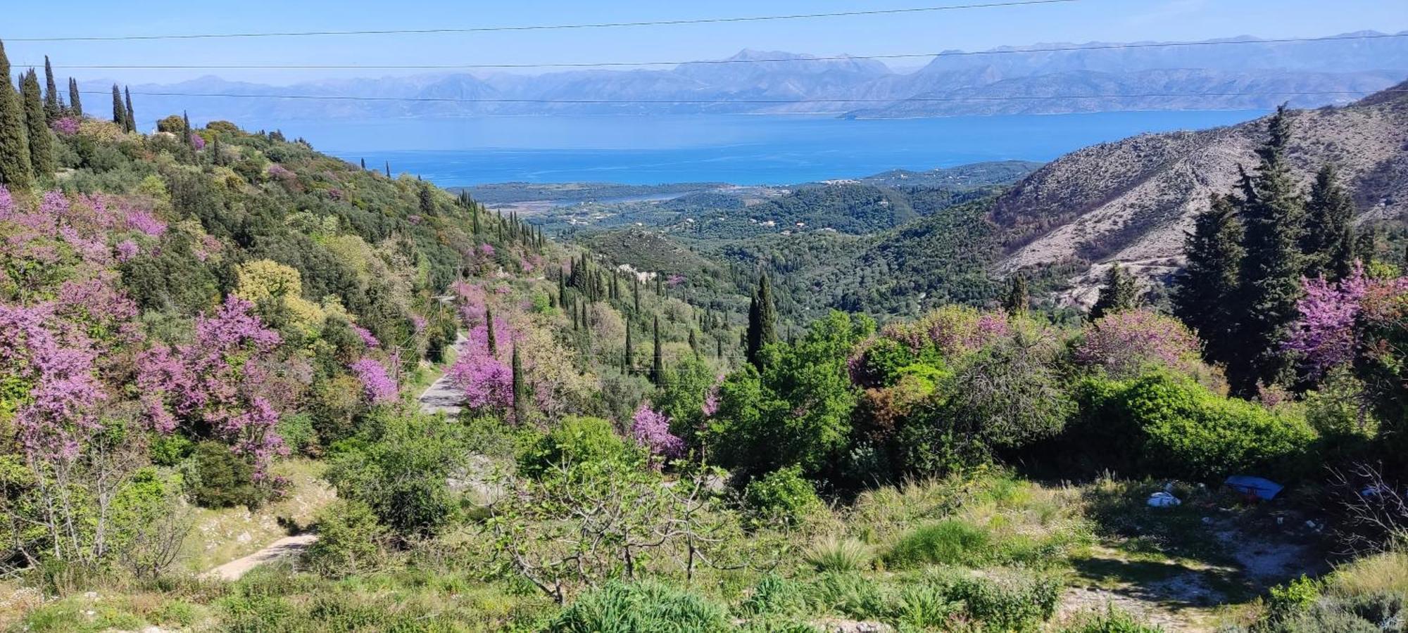 Apartamento Castello Di Lafki Corfu  Exterior foto